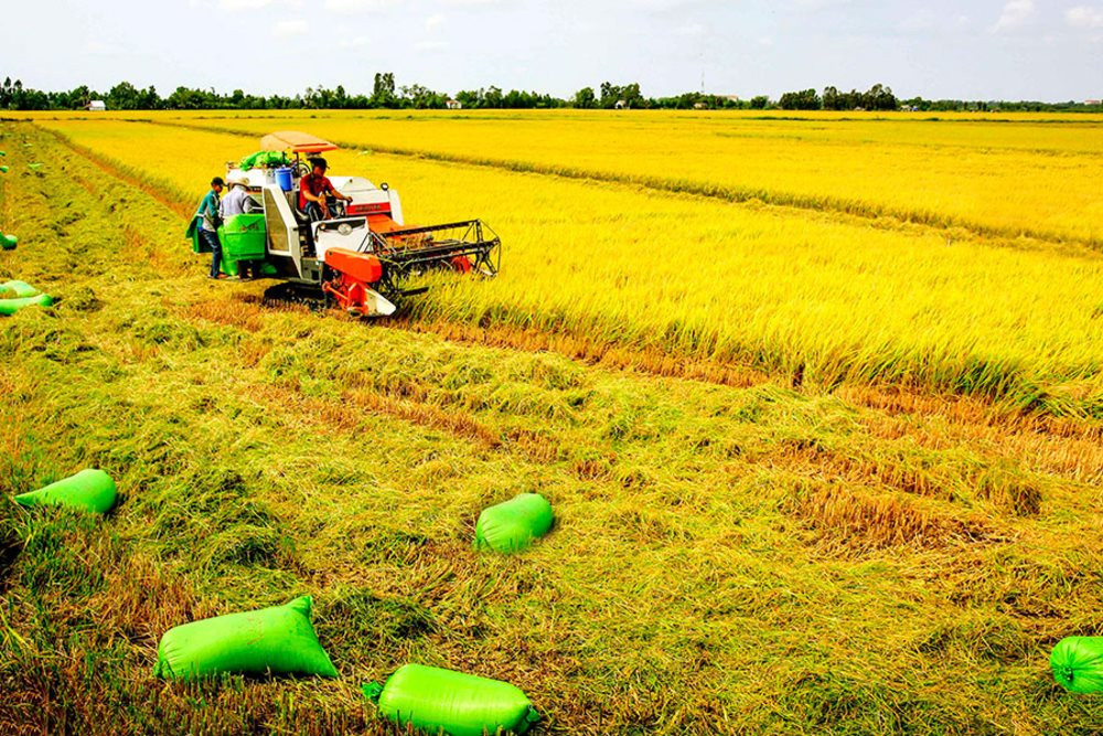 Xây dựng nền nông nghiệp bền vững không thể thiếu vai trò của khoa học công  nghệ  Nhịp sống kinh tế Việt Nam  Thế giới