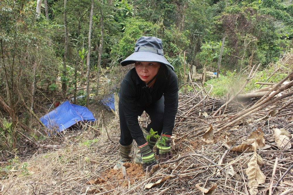 Quảng Nam: Triển khai cấp sổ đỏ đất lâm nghiệp 9 huyện miền núi sau nhiều năm bị “ngâm”