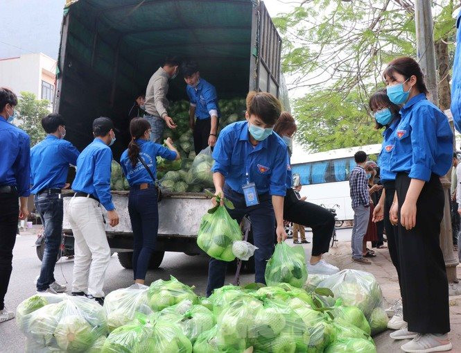 Bắc Ninh: Hỗ trợ tiêu thụ hơn 40 tấn nông sản của các HTX vùng dịch