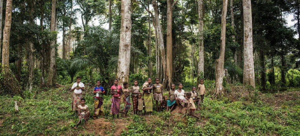 Liên Hiệp Quốc kêu gọi bảo vệ rừng vì con người, hành tinh và thịnh vượng