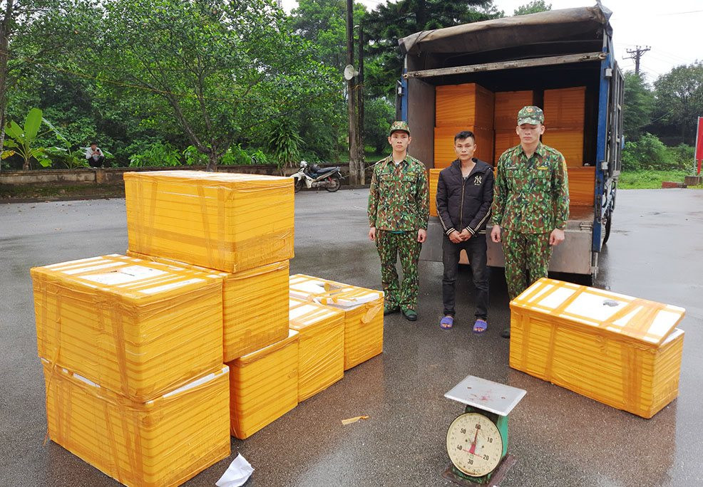 Quảng Ninh: Bắt vụ vận chuyển 500kg cá tầm nhập lậu