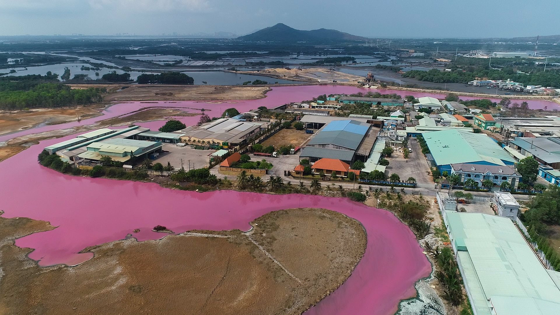 Hồ điều tiết lũ rộng khoảng 10 ha nằm cạnh các nhà máy chế biến thủy sản ở thị xã Phú Mỹ, tỉnh Bà Rịa - Vũng Tàu chuyển màu hồng tím bất thường.