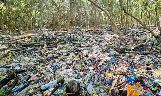 Bức ảnh này sẽ giúp bạn thấy được sự cần thiết của việc giảm thiểu rác nhựa và bảo vệ vịnh Manila trước sự khủng hoảng môi trường. Hãy xem và hành động để cùng nhau bảo vệ hành tinh xanh của chúng ta!