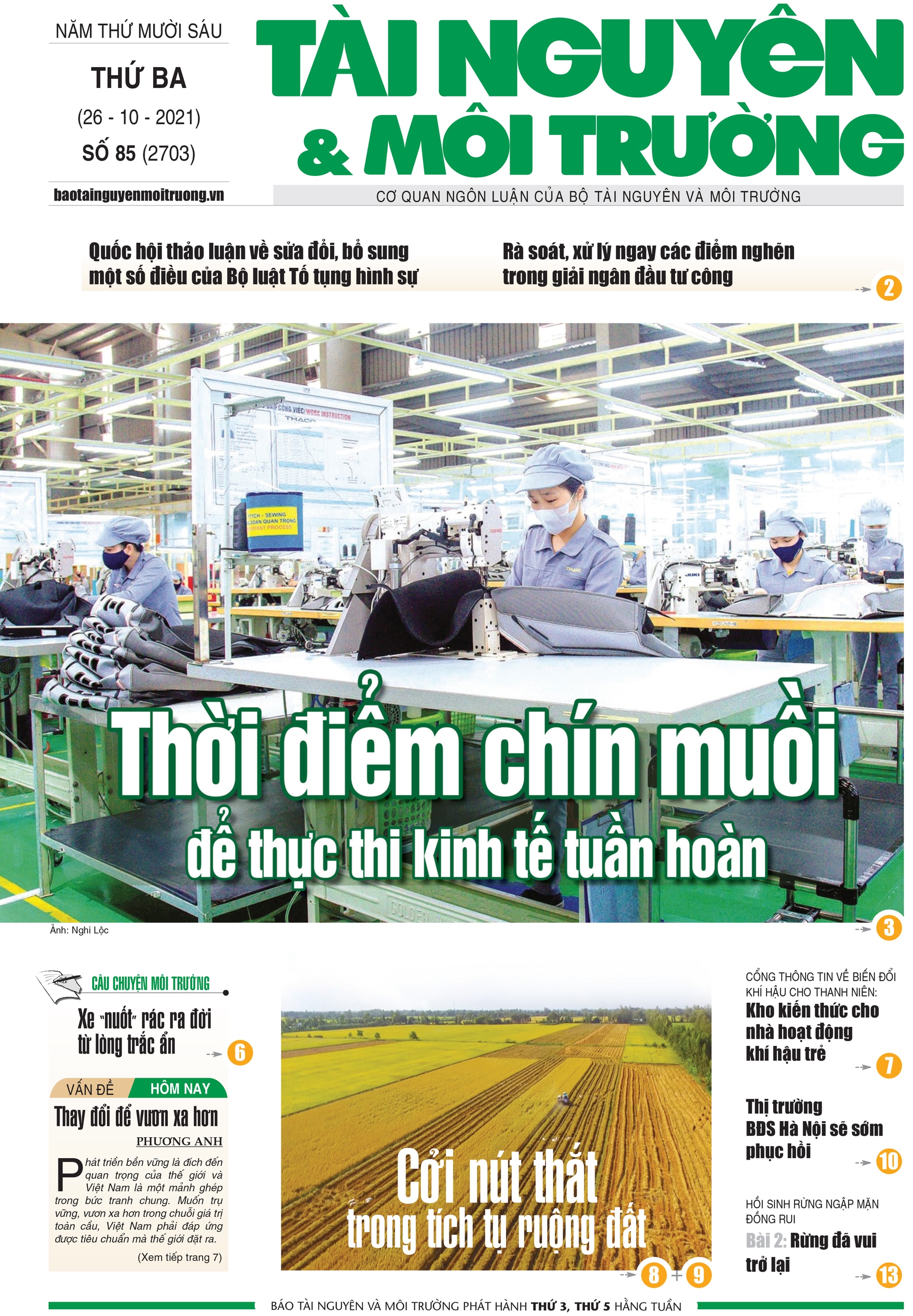 Số 85