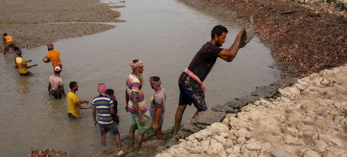 Bangladesh nỗ lực cải thiện khả năng bảo vệ bờ biển khỏi lũ lụt do bão và mực nước biển dâng do biến đổi khí hậu. Ảnh: IMF/K. M. Asad