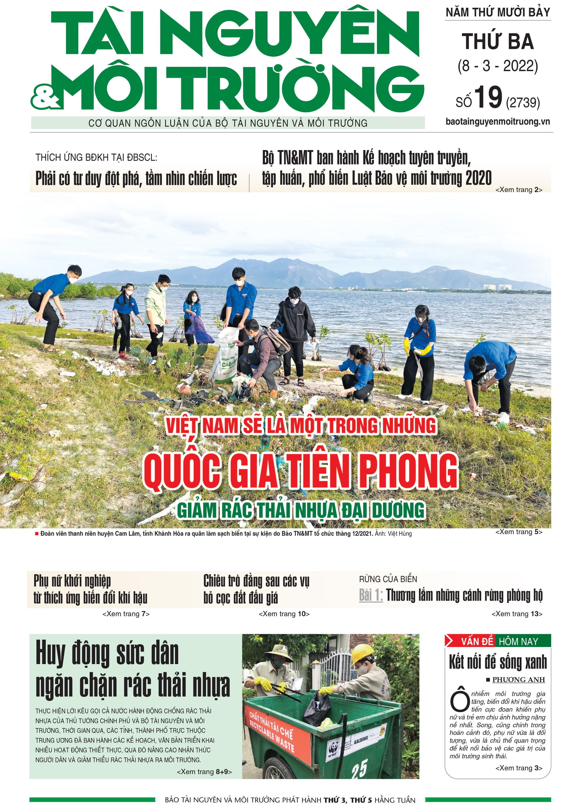 Số 19