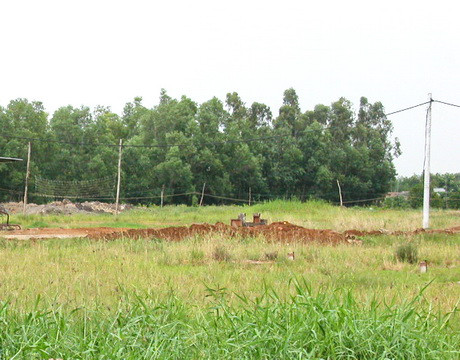 Chuyển mục đích sử dụng đất tại tỉnh Thái Bình - Ảnh 1.