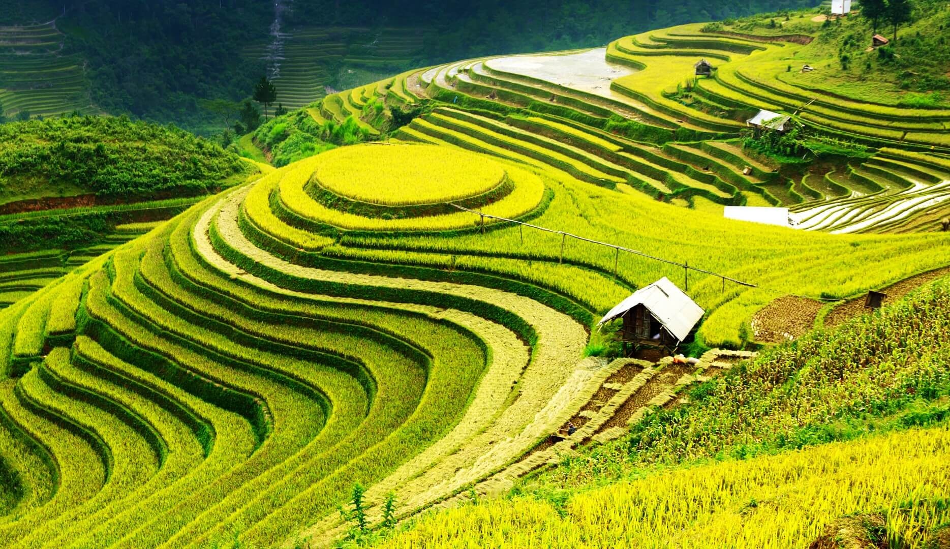 Quy chế hoạt động của Hội đồng điều phối vùng trung du và miền núi phía Bắc - Ảnh 1. Quy chế hoạt động của Hội đồng điều phối vùng trung du và miền núi phía Bắc - Ảnh 1.