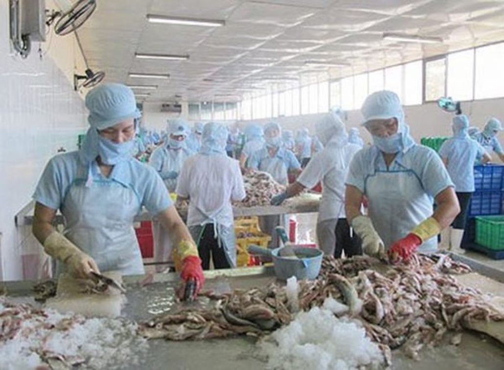 Bà Rịa - Vũng Tàu: Đẩy nhanh việc di dời các cơ sở chế biến hải sản vào khu chế biến tập trung