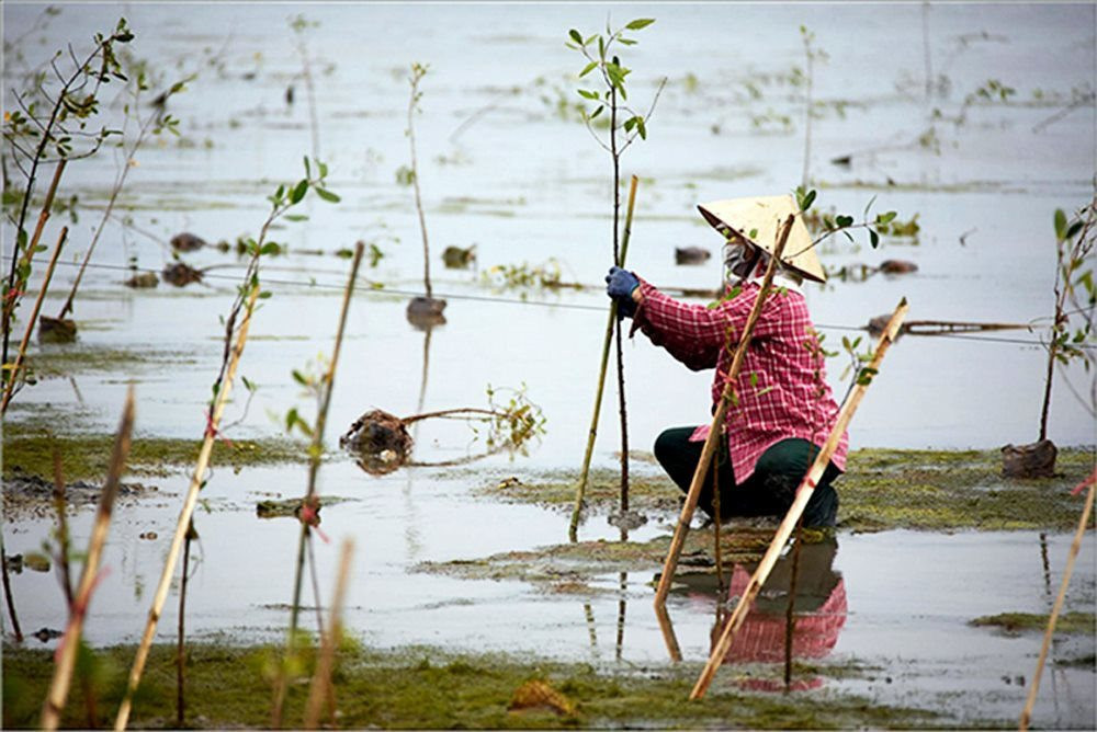 Lồng ghép giới trong thực hiện chính sách khí hậu: Việt Nam sẽ là thành viên tích cực