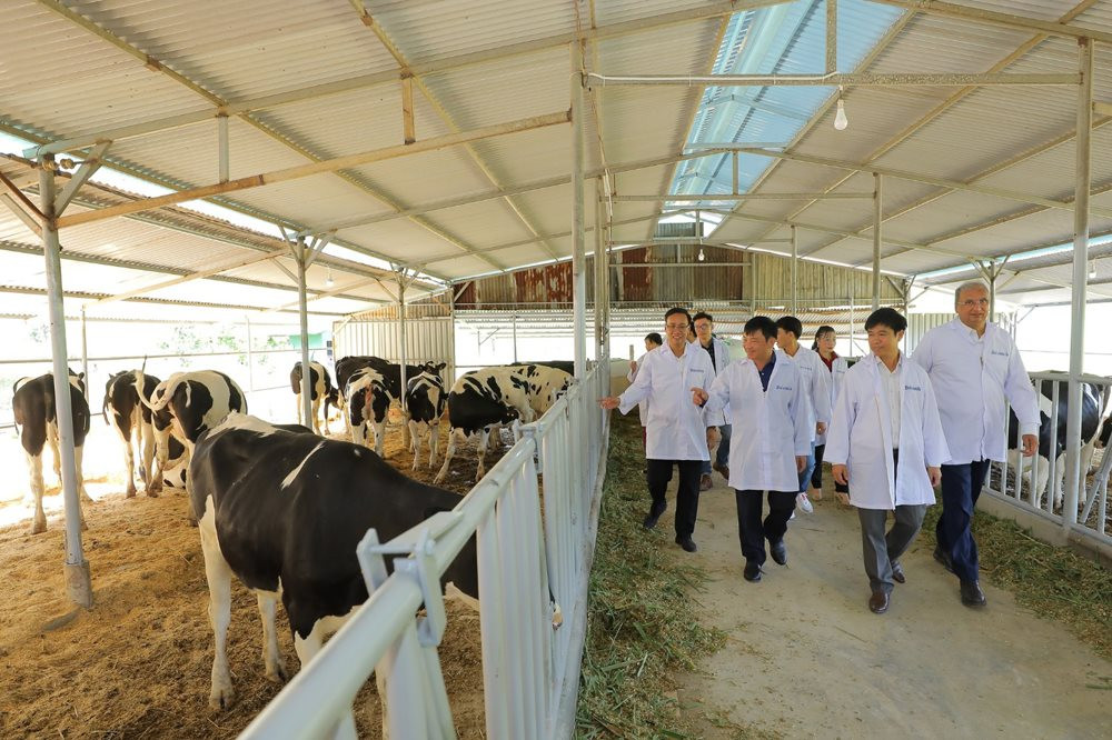 Bò sữa TH giúp phát triển sinh kế người dân huyện nghèo của tỉnh Lâm Đồng
