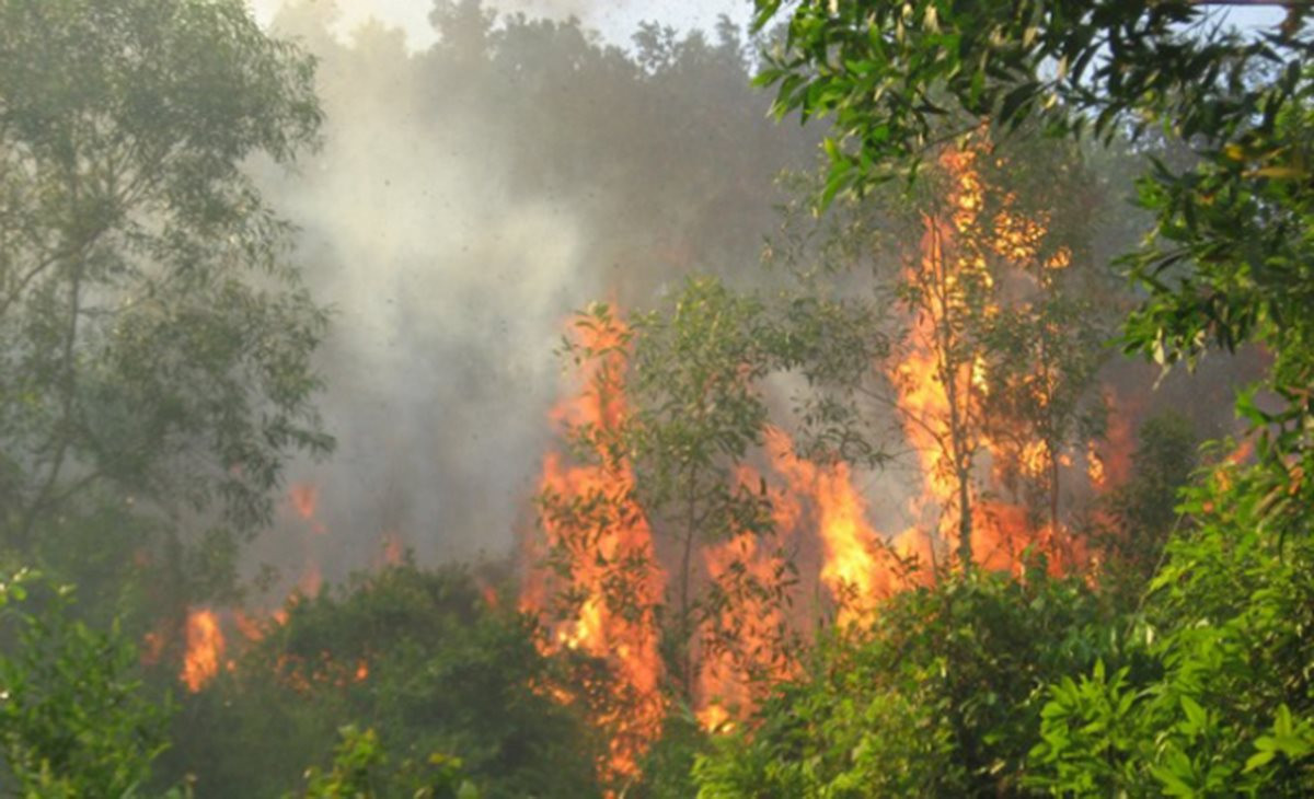 Văn Bàn - Lào Cai: Nỗ lực dập tắt các điểm cháy, tránh lan vào rừng