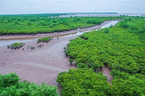 Nam Định: Hưởng ứng Ngày Đất ngập nước Thế giới năm 2023