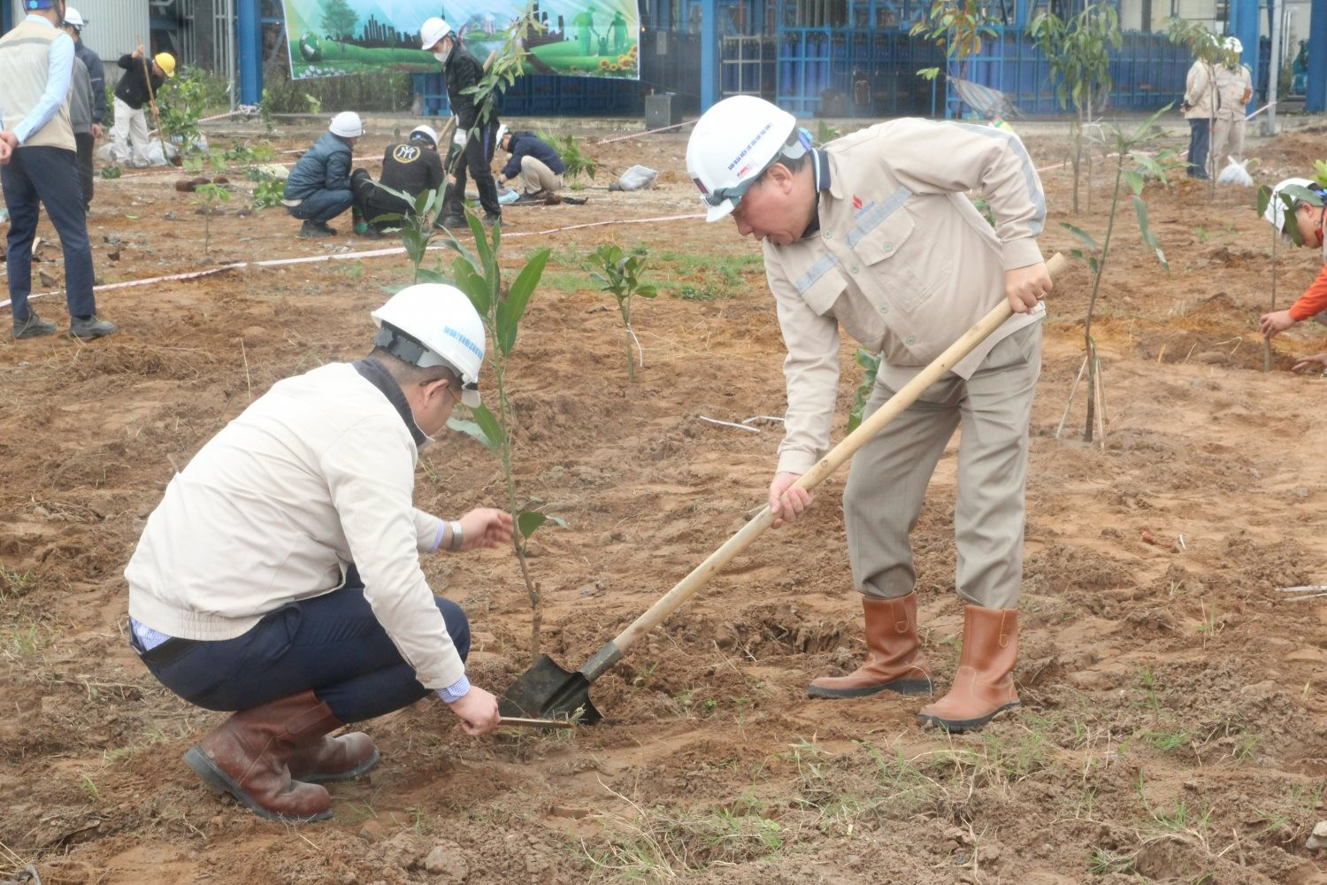 Điện lực Dầu khí Thái Bình 2 phát động Chương trình trồng cây xanh năm 2023