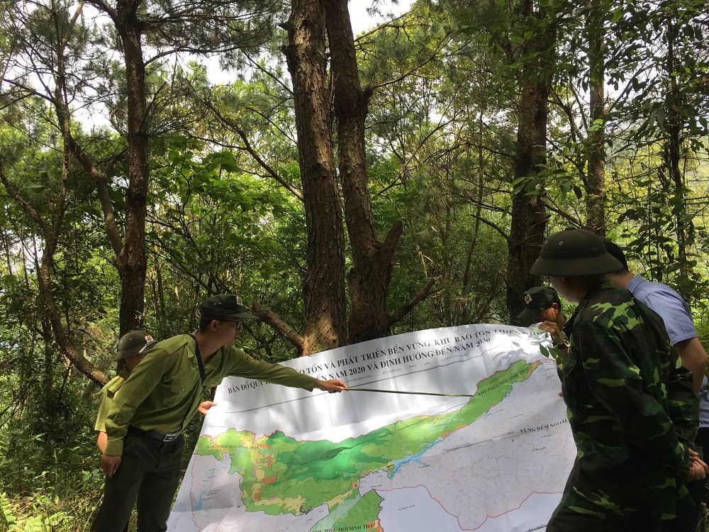 Sơn La: Chấn chỉnh các chủ rừng trong thực hiện DVMTR