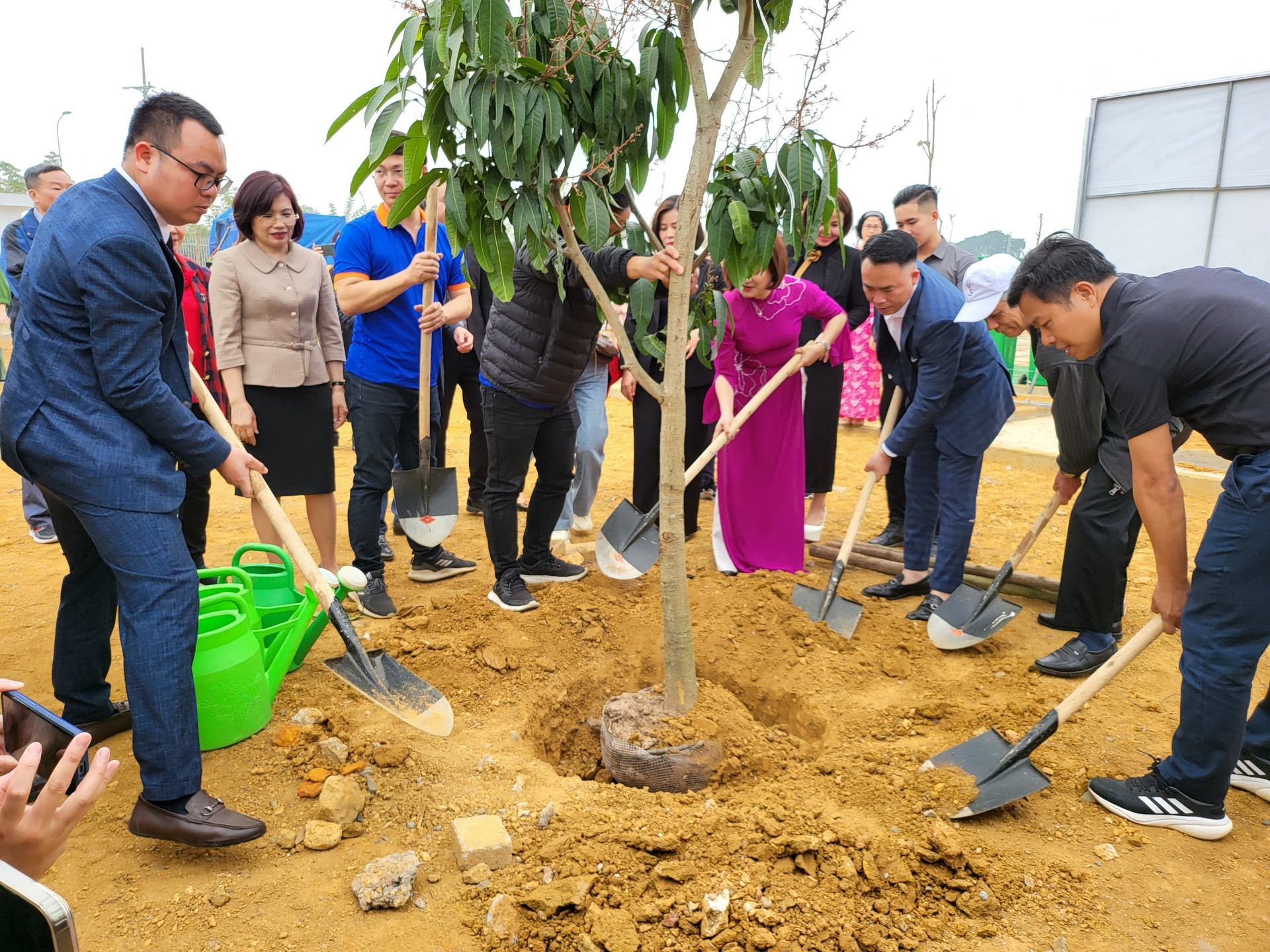 Phát động lễ trồng cây chương trình “Trường xanh”