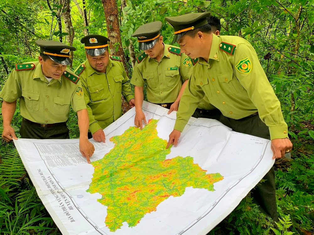 Sơn La: Công bố hiện trạng rừng năm 2022