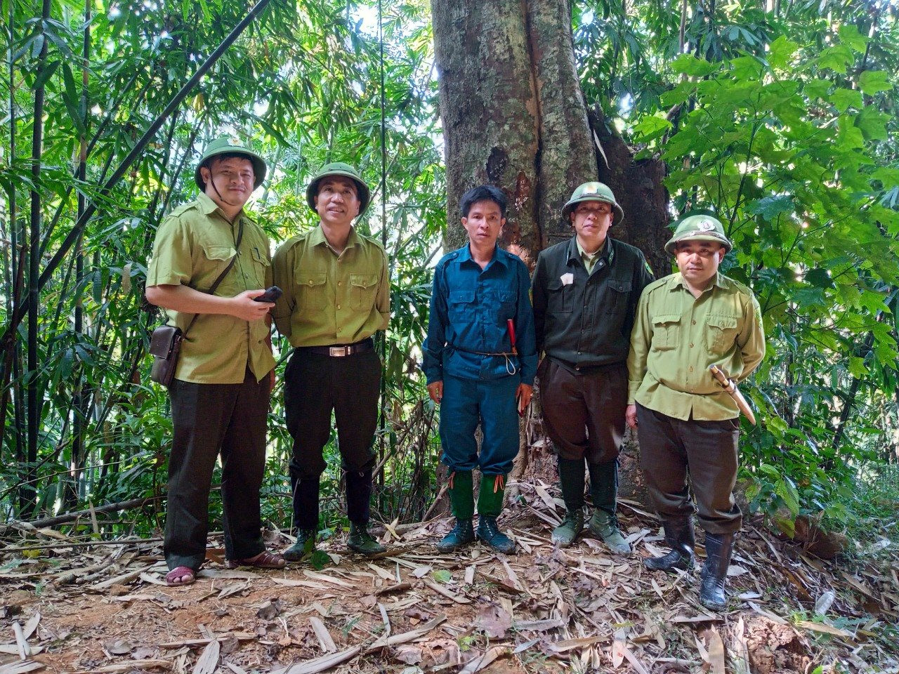 Phát triển kinh tế rừng ở vùng biên xứ Thanh