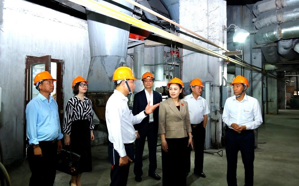 Đoàn Đại biểu Quốc hội tỉnh Ninh Bình làm việc với Công ty cổ phần Nhiệt điện Ninh Bình
