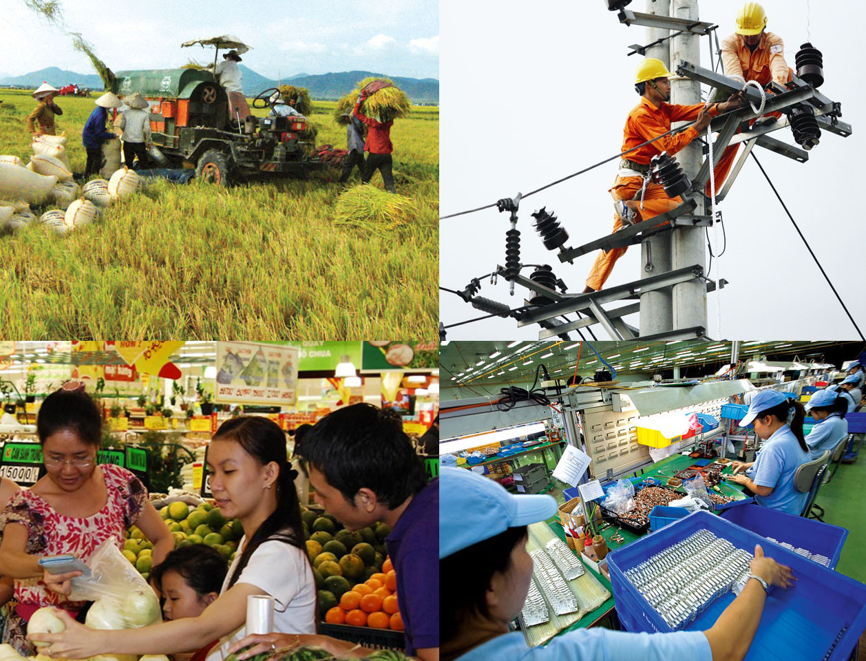 Rà soát lộ trình thực hiện các mục tiêu phát triển bền vững Việt Nam - Ảnh 1.