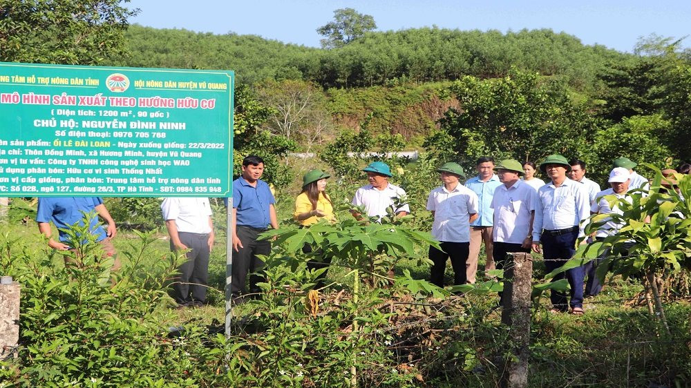 Củng cố khối liên minh công nhân  nông dân  trí thức  Tổng liên đoàn lao  động Việt Nam