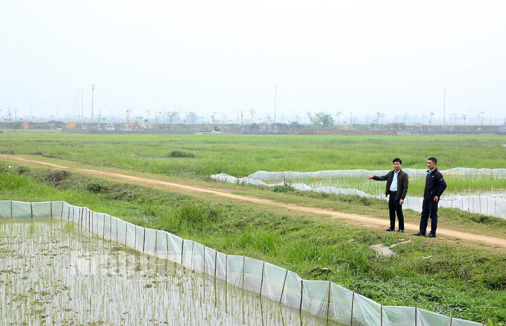 Ninh Bình: Chậm thu hồi, đền bù để GPMB dự án xây dựng tuyến đường Đông - Tây