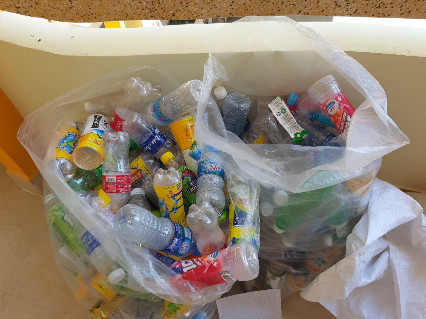Điều tra chi tiết về hiện trạng chất thải nhựa