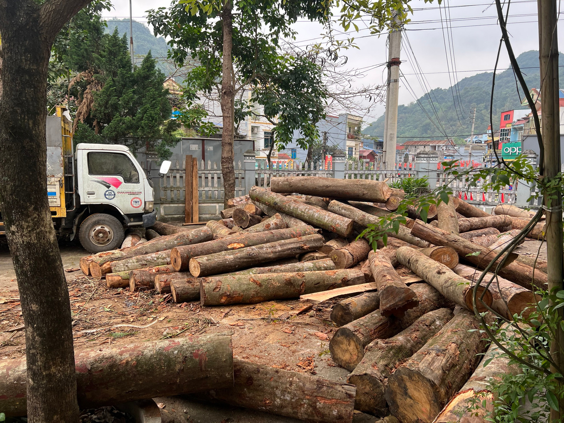 Tiếp bài “Núp bóng doanh nghiệp để phá rừng ở Bắc Kạn”: Tổng cục Lâm nghiệp kiến nghị xử lý nghiêm