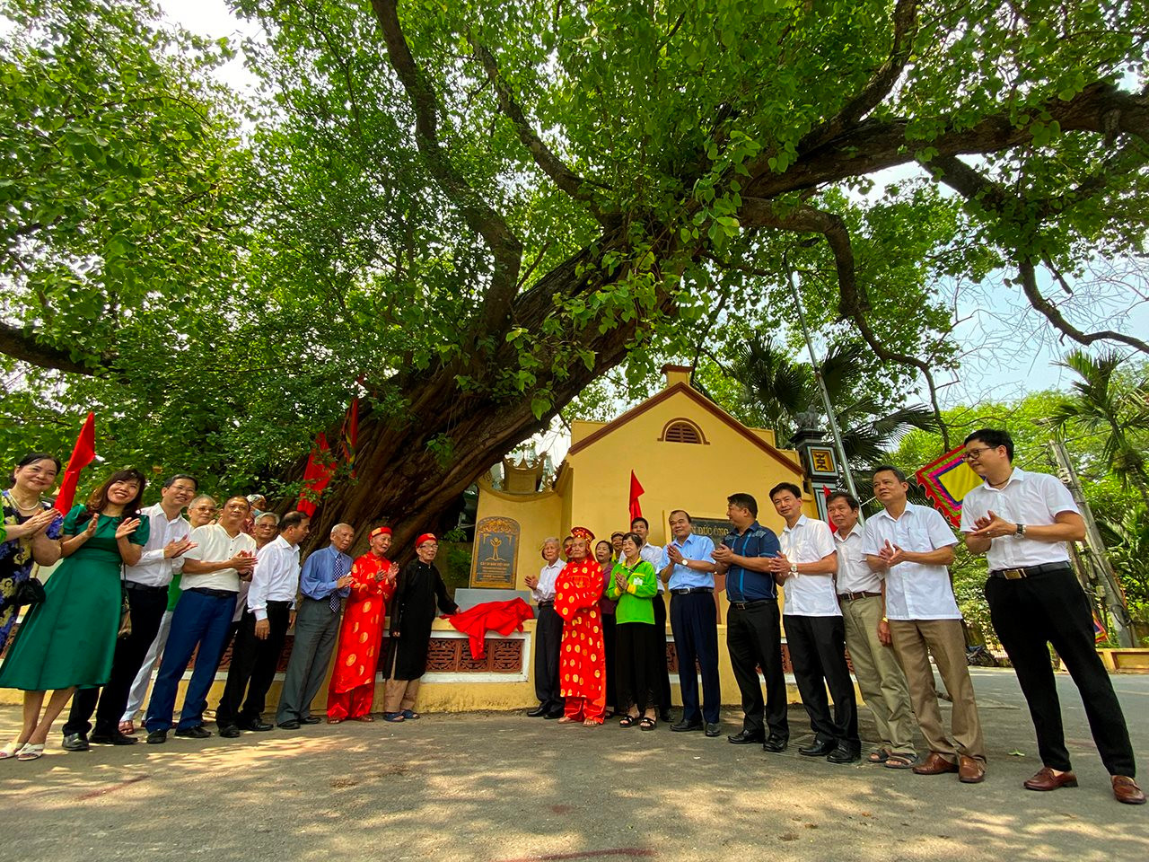 Cây 500 tuổi ở Song Khê được công nhận “Cây di sản Việt Nam”