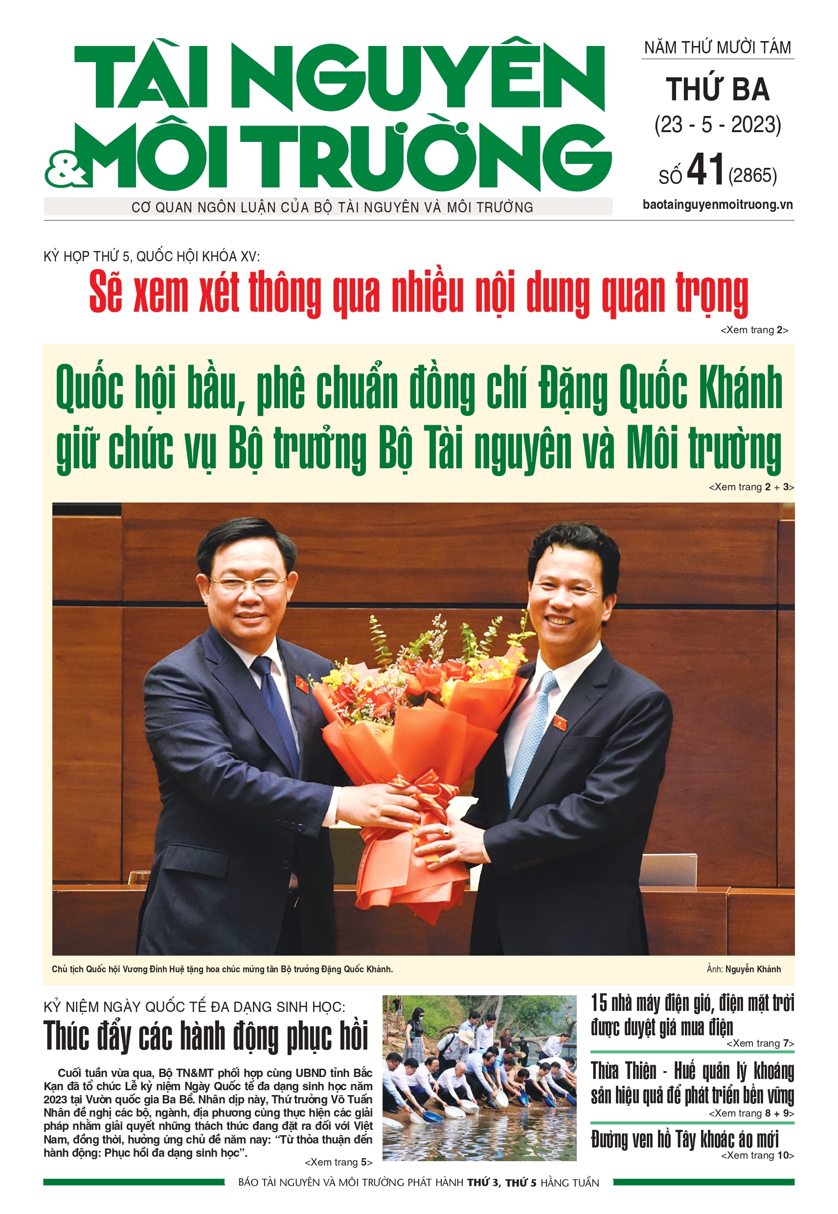 Số 41