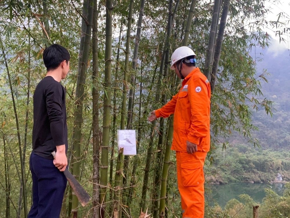 a4-cong-nhan-dien-luc-truc-thuoc-pc-thanh-hoa-tuyen-truyen-den-nguoi-dan-ve-viec-chat-tia-cay-trong-nam-trong-pham-vi-co-nguy-co-gay-mat-an-toan-hanh-lang-luoi-dien.jpg