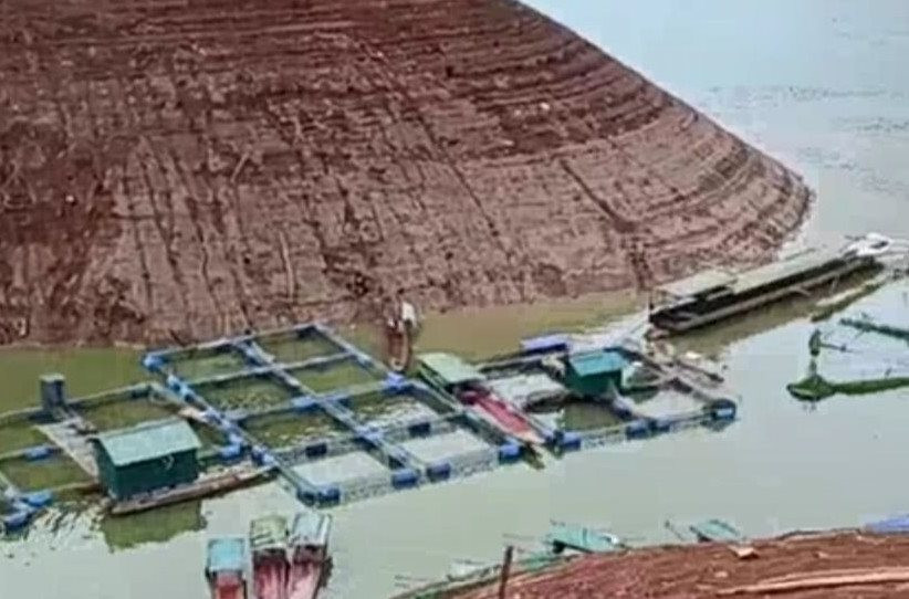 Điện Biên: Cá nuôi lồng bè chết hàng loạt do hạn hán