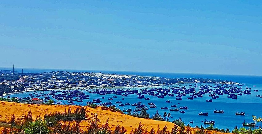 Bí Thư Bình Thuận: Không có chuyện đồng ý xây dựng cảng cá ở vịnh Mũi Né ảnh 1