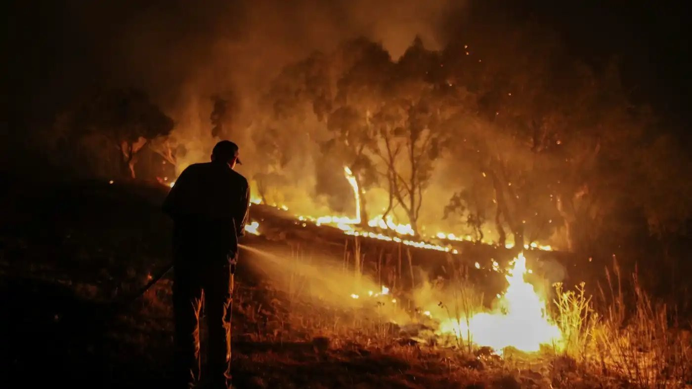 https2f2fimages2f02f72f2020-02-01t000000z_30568765_rc2tre9m8v0y_rtrmadp_3_australia-bushfires.jpg