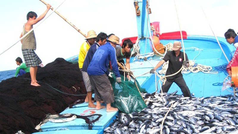 Thủ tướng chỉ đạo tập trung thực hiện các giải pháp cấp bách chống khai thác hải sản bất hợp pháp - Ảnh 1.