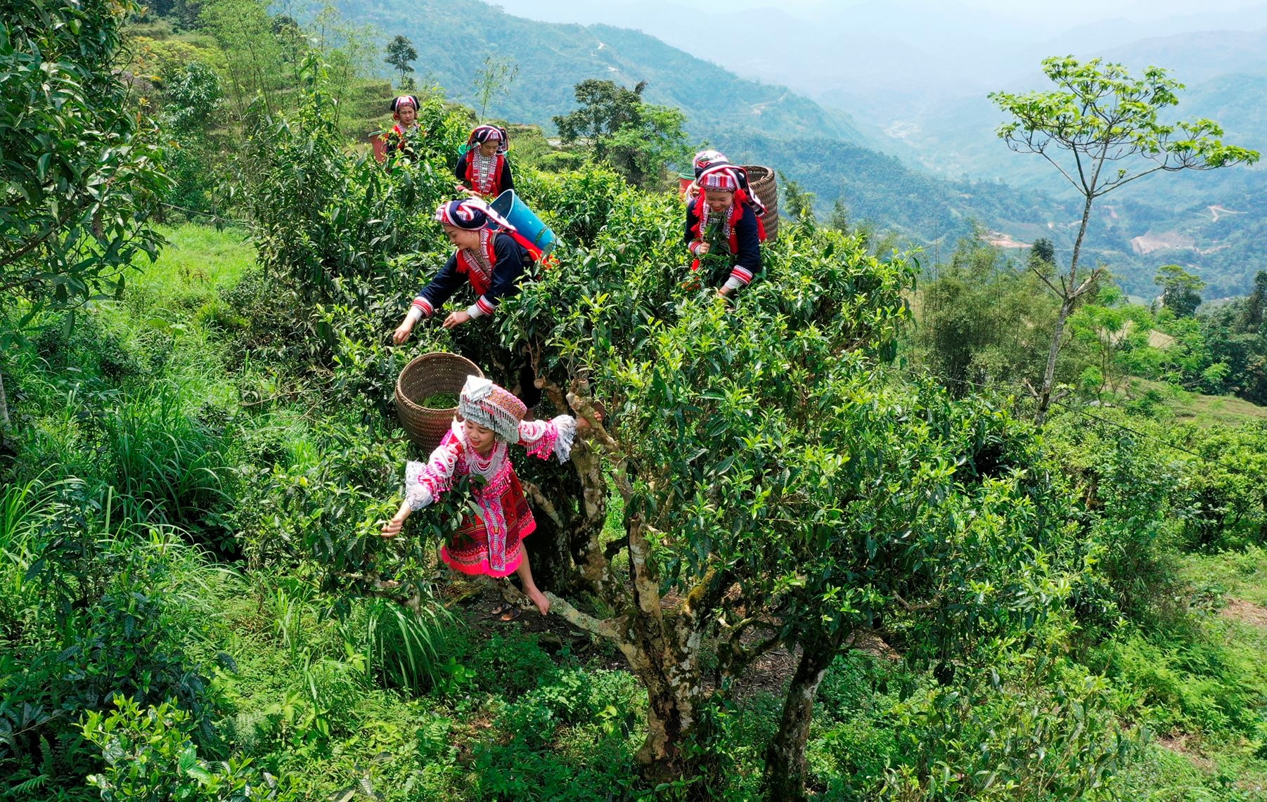 ba-con-dan-toc-dao-xa-thong-nguyen-huyen-hoang-su-phi-thu-hai-che-shan-co-thu.jpg