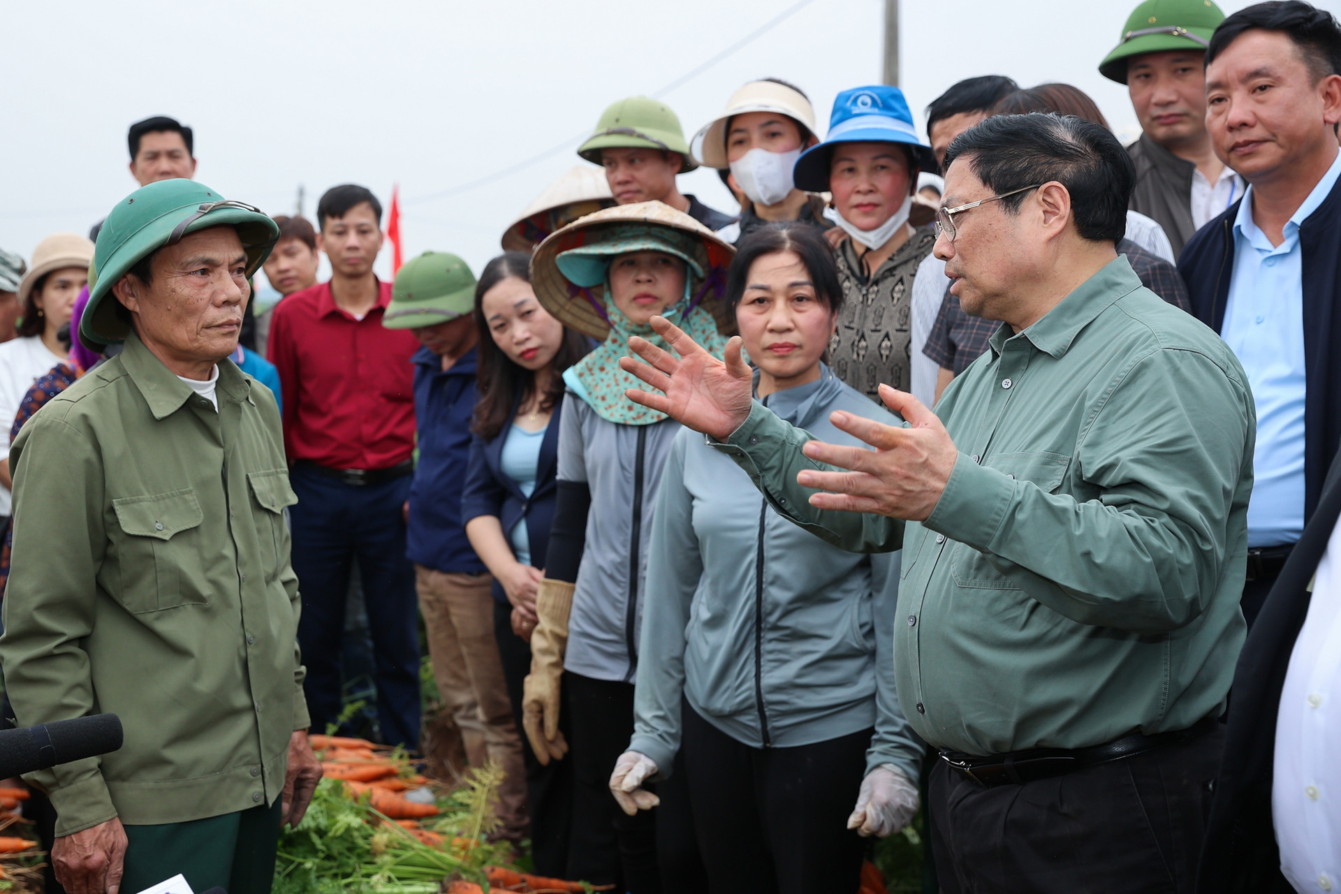 Thủ tướng xuống đồng cấy lúa, thu hoạch cà rốt cùng nông dân- Ảnh 7.