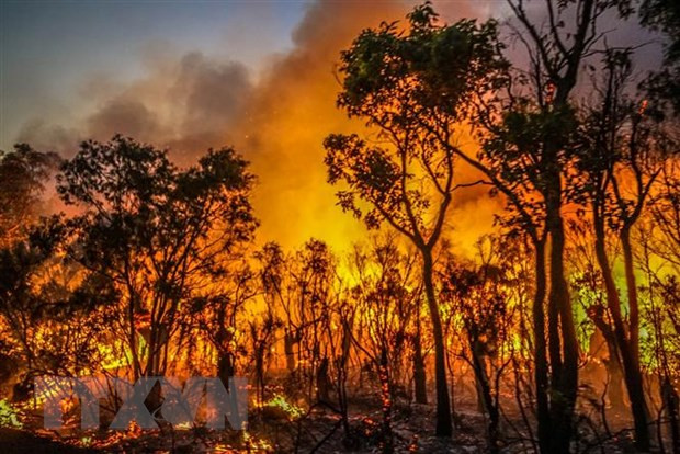 Thủ tướng Chính phủ yêu cầu tăng cường các biện pháp cấp bách phòng cháy, chữa cháy rừng- Ảnh 1.