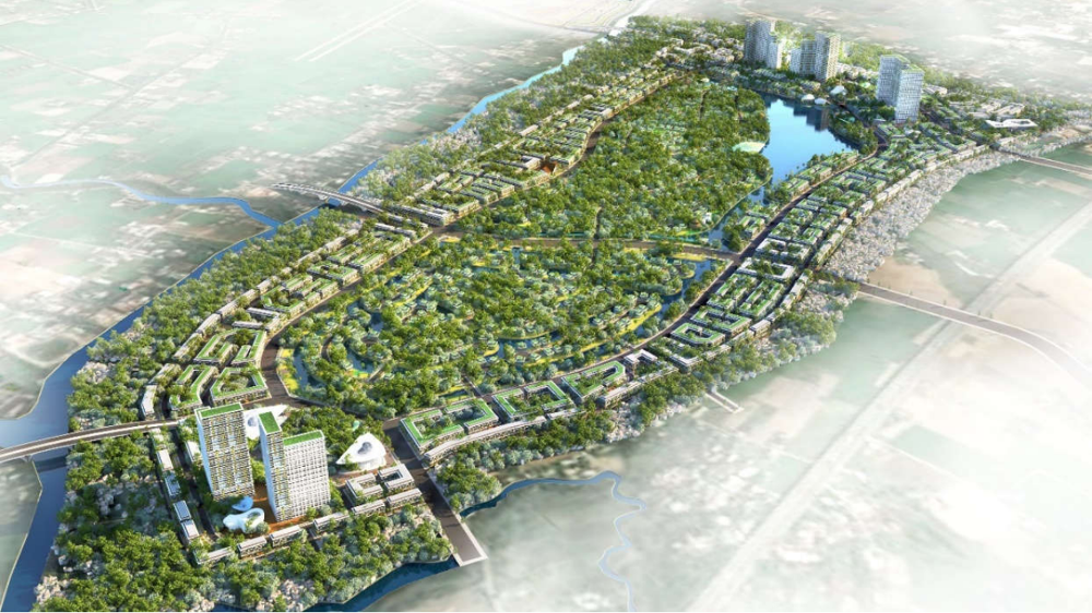 Chấp thuận tỉnh Long An chuyển mục đích sử dụng đất để thực hiện dự án khu đô thị- Ảnh 1.