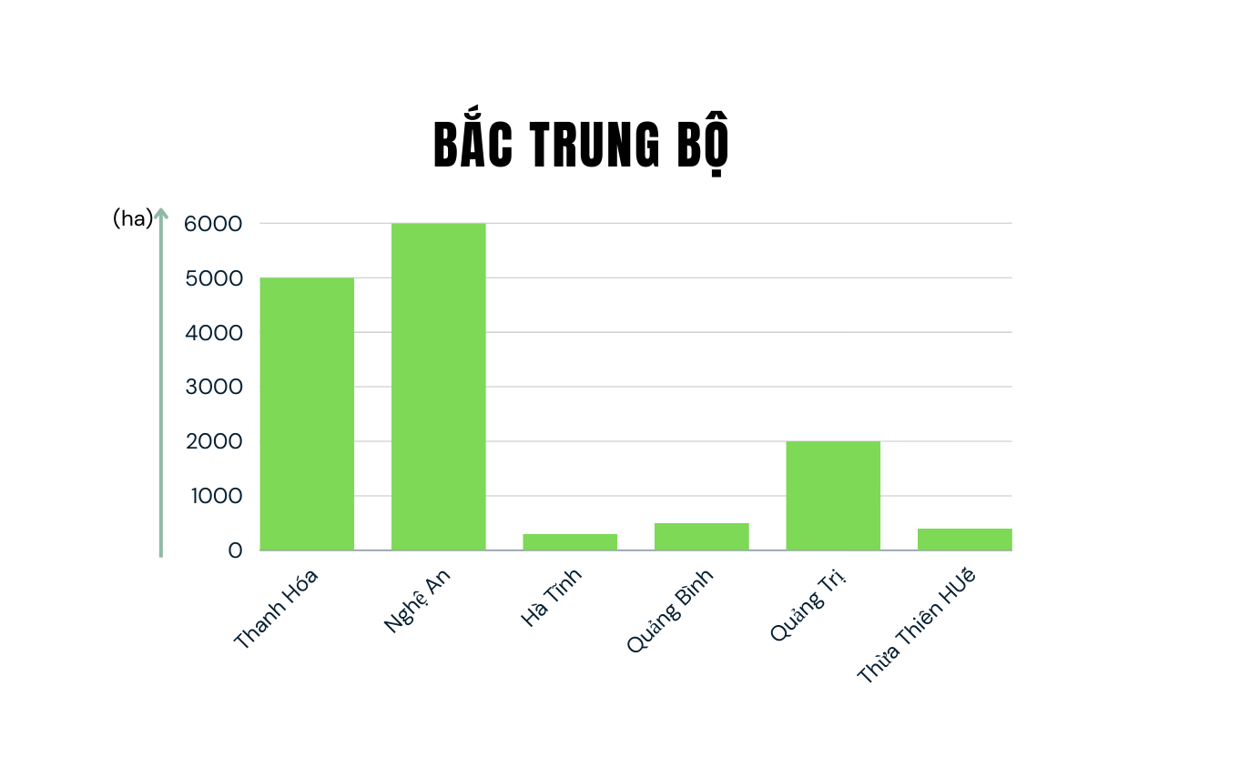 bac-trung-bo-3-.png