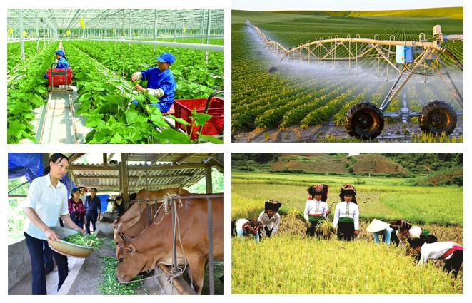 Tổng điều tra nông thôn, nông nghiệp năm 2025 vào ngày 1/7/2025- Ảnh 1.