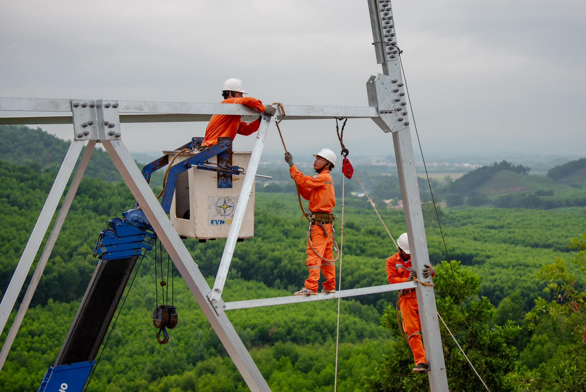 thi-cong-duong-day-500-kv-mach-3_3.jpg