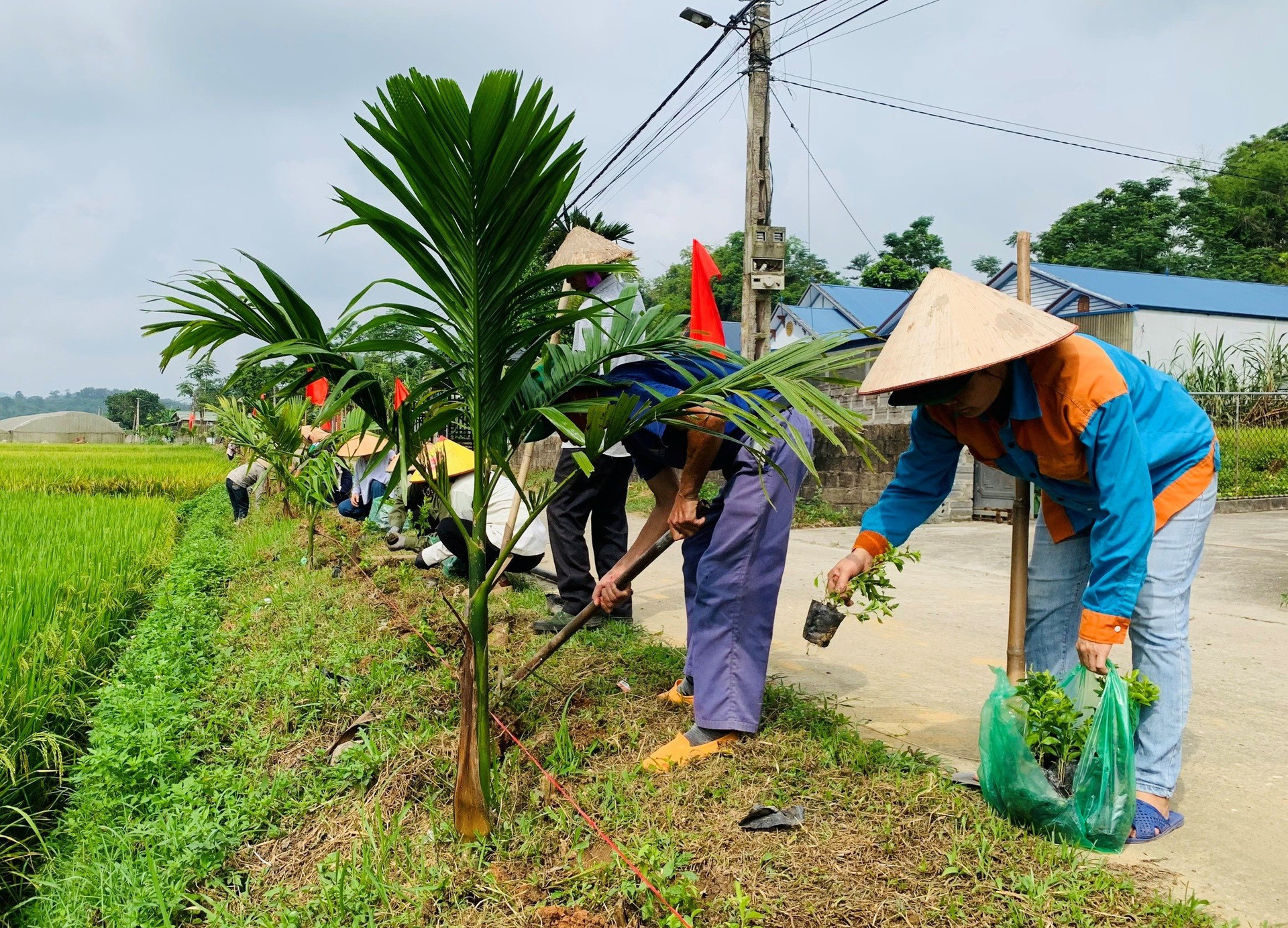 mot-so-quan-huyen-tinh-thai-nguyen-phat-dong-thang-hanh-dong-vi-moi-truong-huong-ung-ngay-moi-truong-the-gioi.jpg