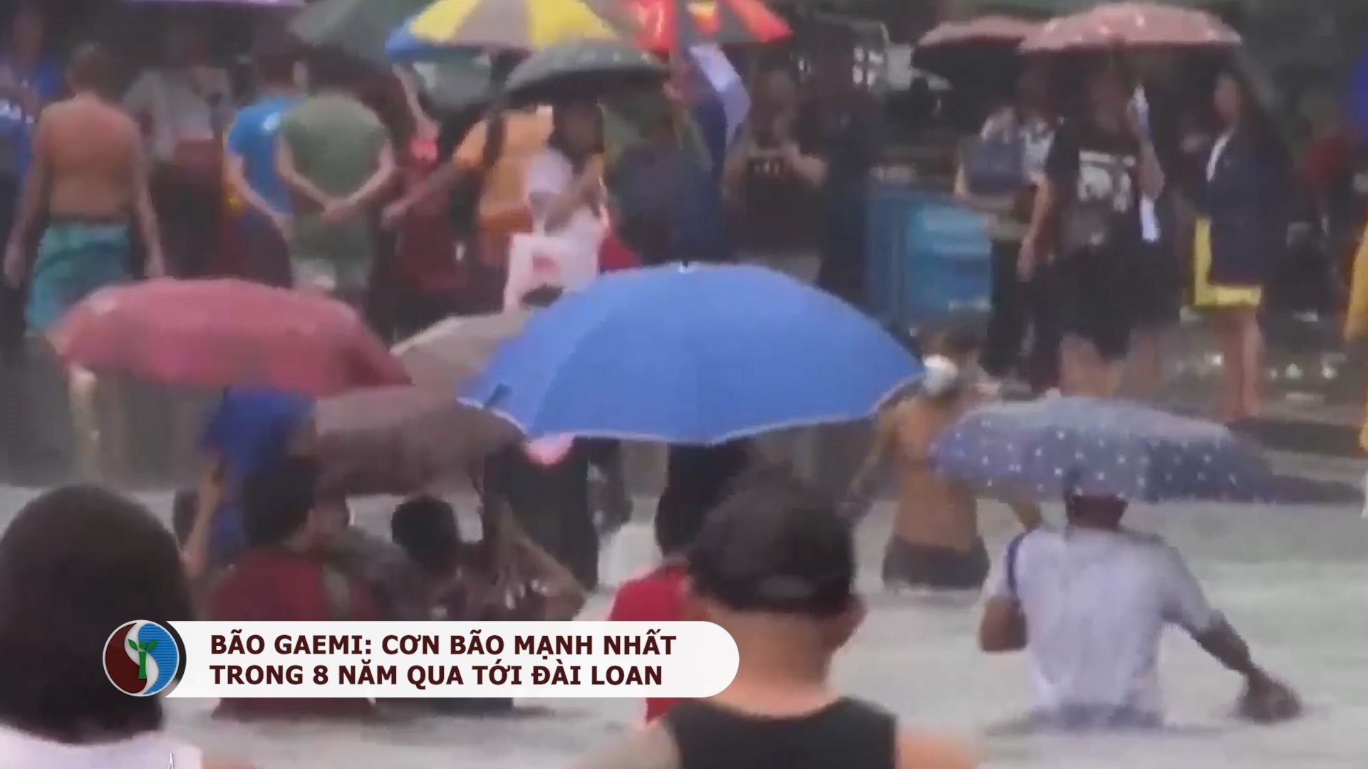 Bão Gaemi: Cơn bão mạnh nhất trong 8 năm qua ở Đài Loan