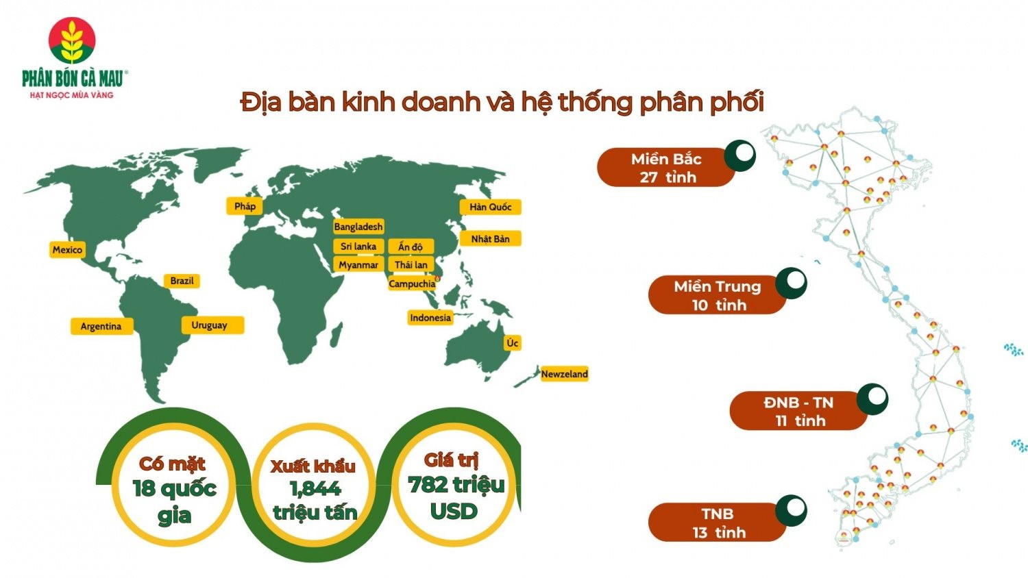 san-pham-thuong-hieu-phan-bon-ca-mau-da-co-mat-tren-18-quoc-gia20240807090550.jpg