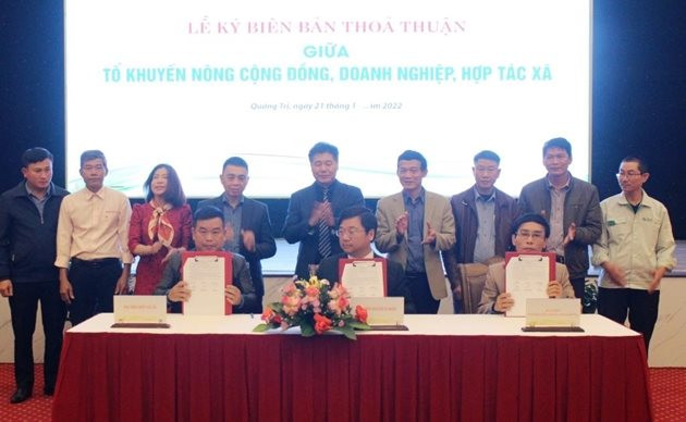 le-ky-ket-bien-ban-thoa-thuan-hop-tac-ve-phat-trien-vung-nguyen-lieu-go-rung-trong-tai-quang-tri.jpg