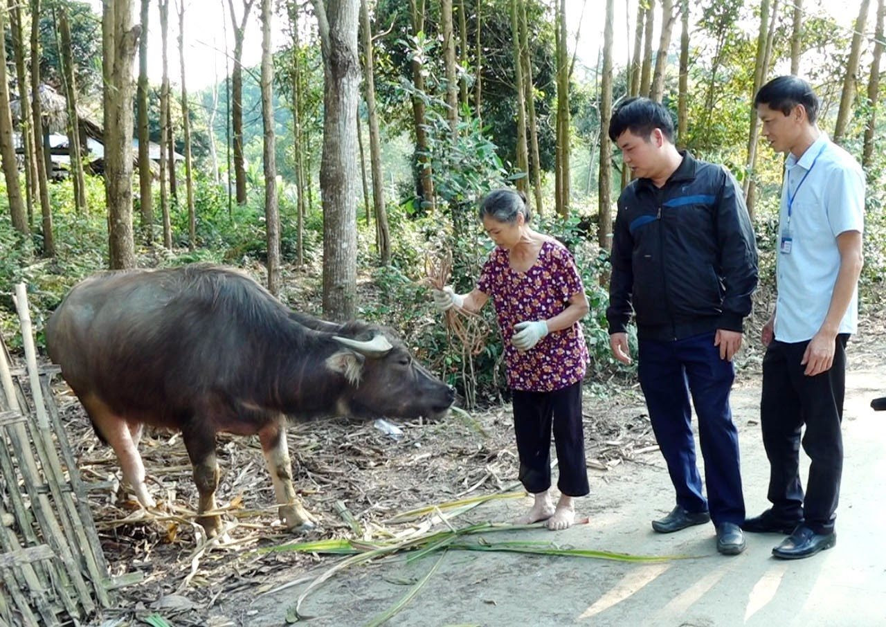 can-bo-chuyen-mon-cua-trung-tam-dich-vu-nong-nghiep-huyen-va-lanh-dao-xa-thuong-xuyen-kiem-tra-trau-giong-cua-cac-ho-gia-dinh(1).jpg