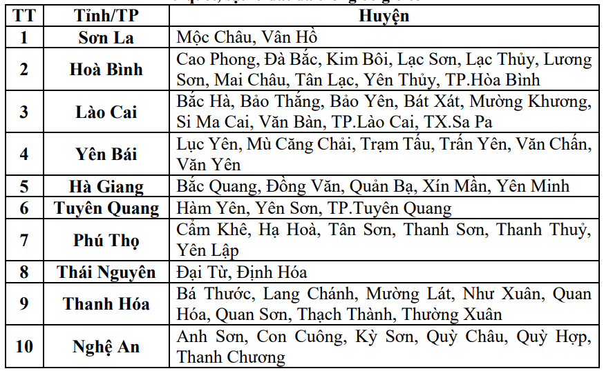 anh-2(1).png