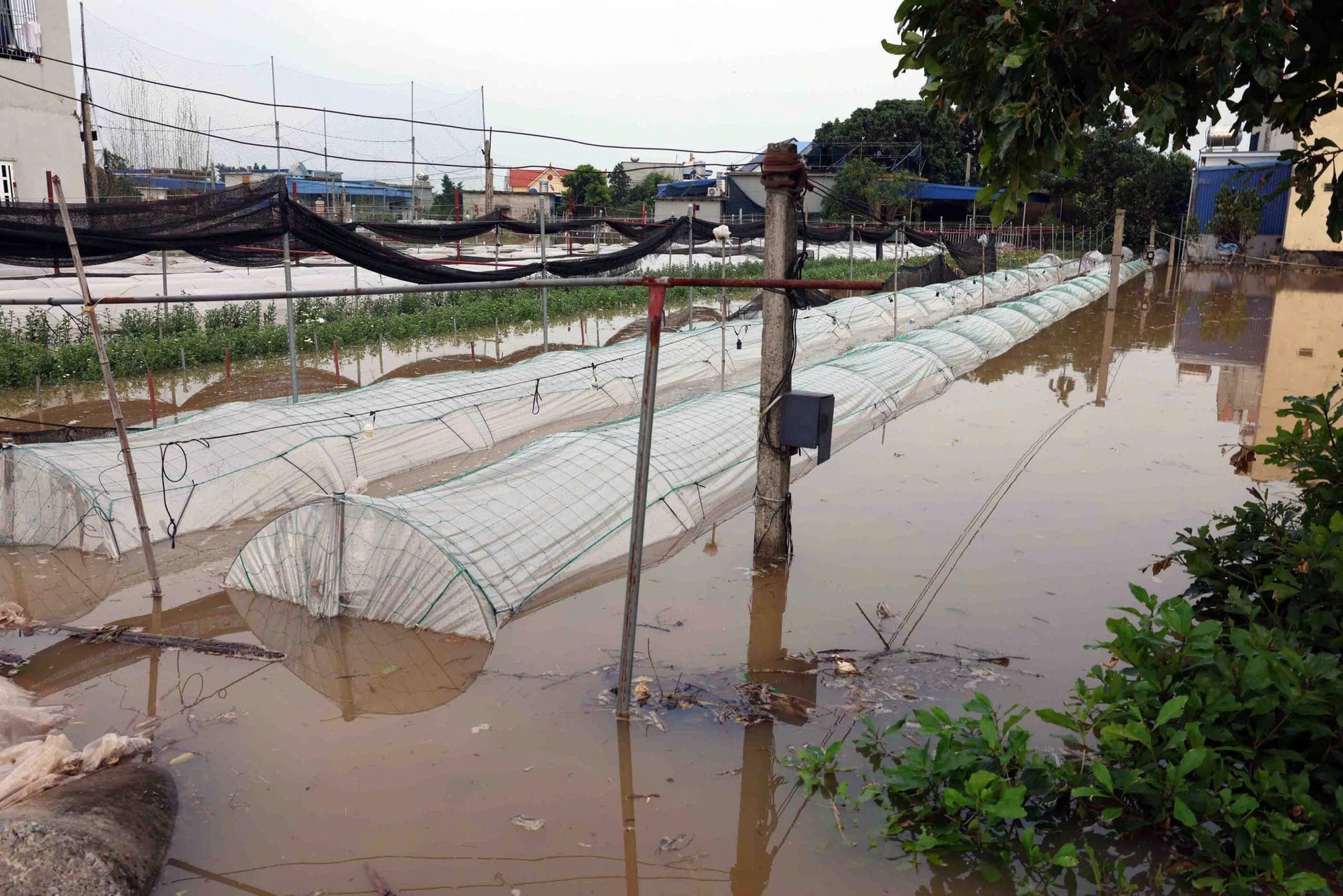 Phó Thủ tướng Trần Hồng Hà kiểm tra công tác khắc phục hậu quả sau bão số 3 tại tỉnh Nam Định- Ảnh 4.