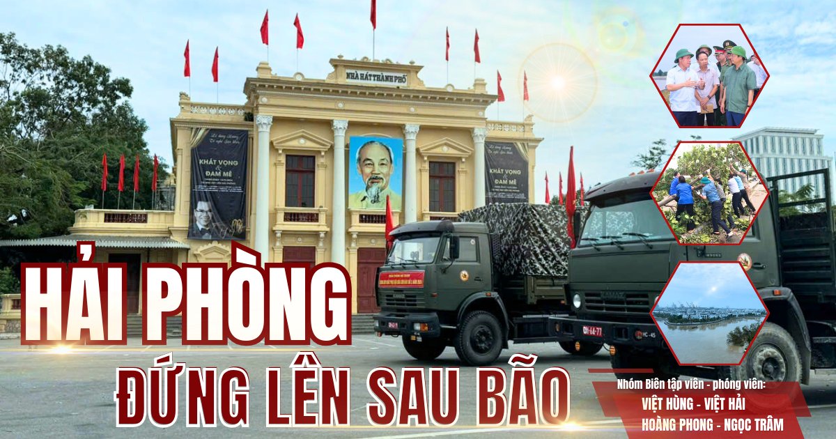 bia-hai-phong-1-.png